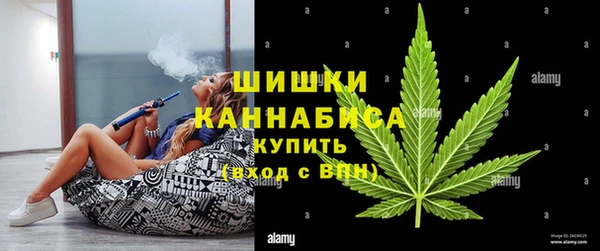 PSILOCYBIN Богородицк