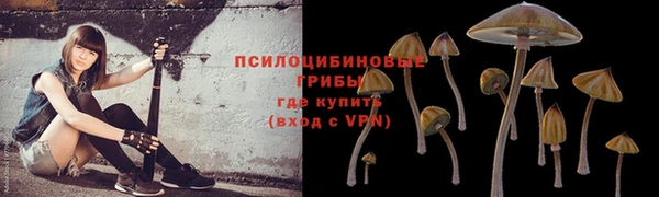 первитин Богданович
