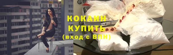 PSILOCYBIN Богородицк