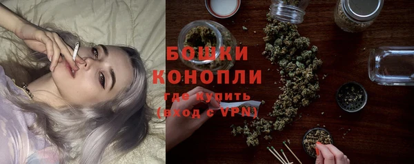 сатива Белоозёрский