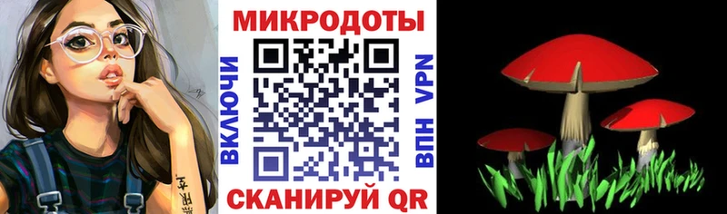 Псилоцибиновые грибы Psilocybine cubensis  Шадринск 